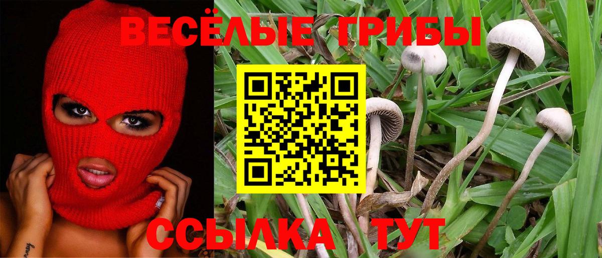 Липецк  Псилоцибиновые грибы мицелий  Псилоцибиновые грибы Psilocybine cubensis  Вход с VPN 